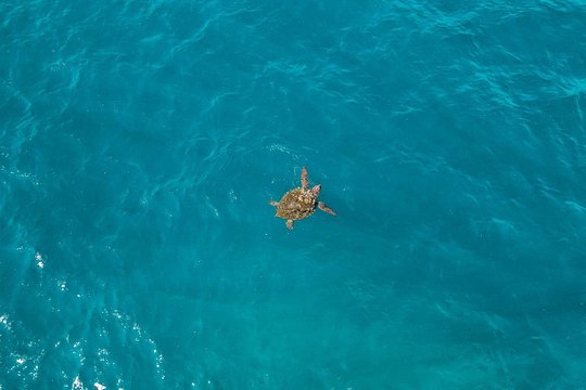 Tour image 6