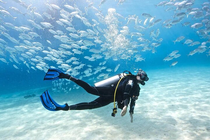 Fethiye Scuba Diving - Two Dives with Professional Instructor